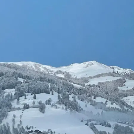 Cityxpress Zell Am Apartmán