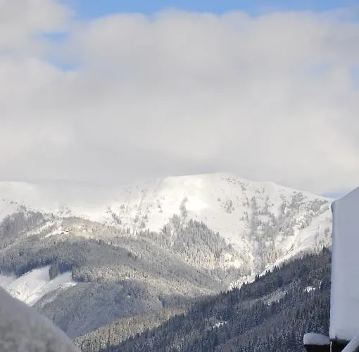 Cityxpress Zell Am Appartement Zell am See